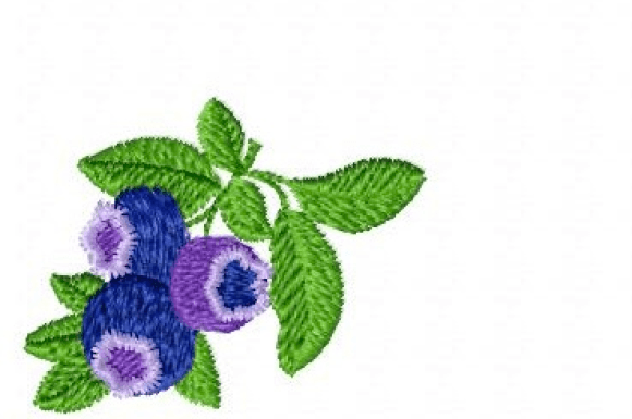 Blueberry