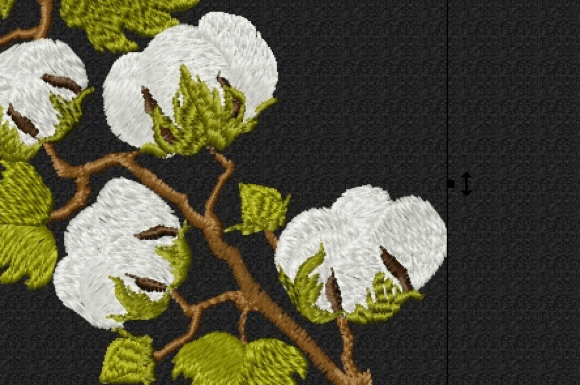 Cotton