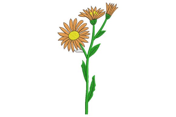 Orange Flower