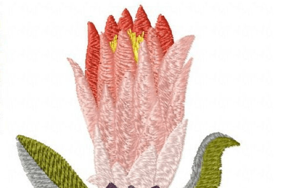 Protea Tower
