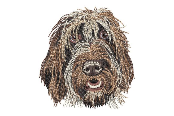 Wirehaired Pointing Griffon